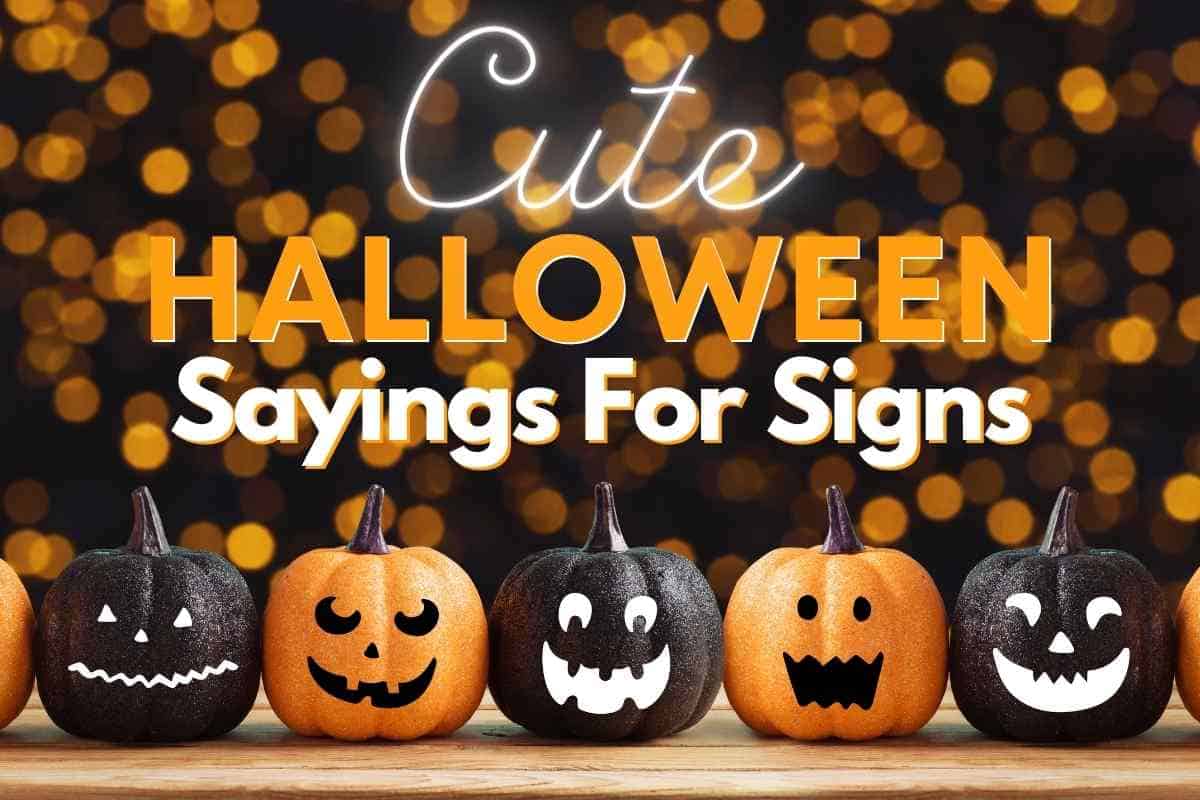 150-halloween-sayings-for-signs-2023-restore-decor-more