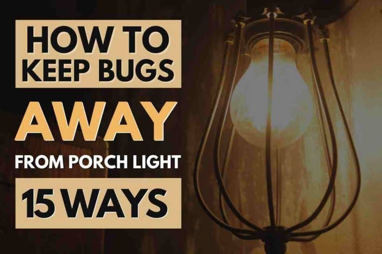 How To Keep Bugs Away From Porch Light (15 Ways)