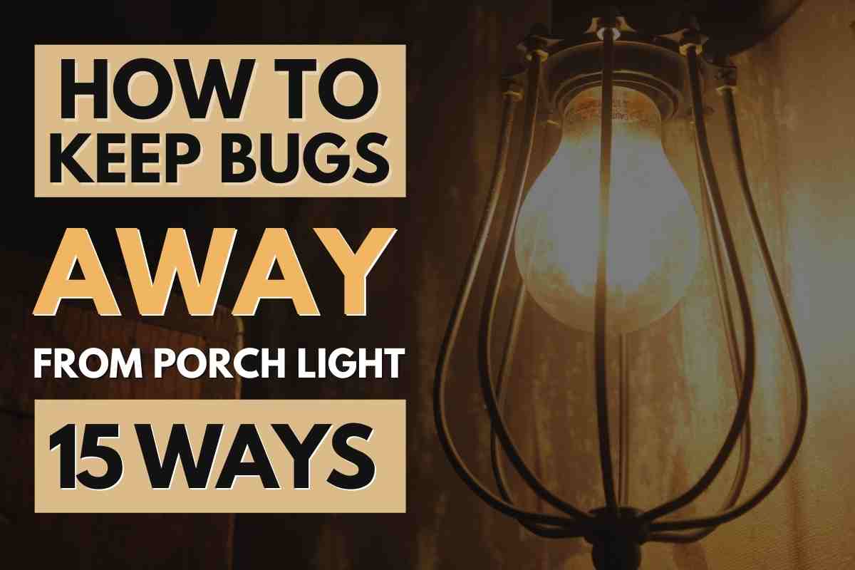 Come posso tenere gli insetti dalla luce del portico anteriore?