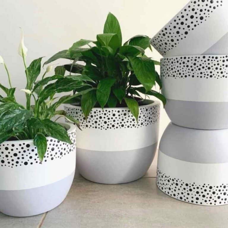 50 Stunning Pot Painting Ideas Designs For 2024 Restore Decor More   Hand Painted Flower Pots With Polka Dots 768x768 