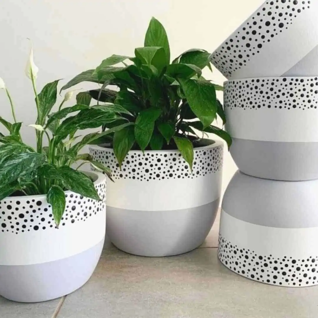 50 Stunning Pot Painting Ideas Designs For 2025 Restore Decor More Hand Painted Flower Pots With Polka Dots