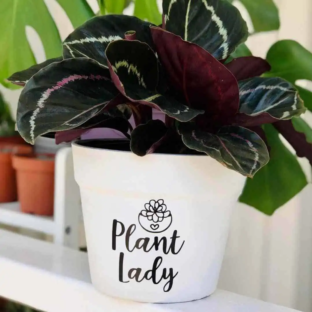 50 Stunning Pot Painting Ideas Designs For 2025 Restore Decor More Plant Lady Planter