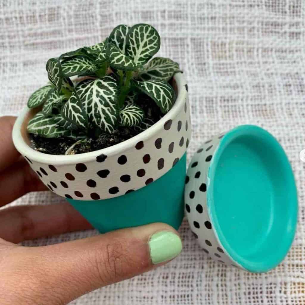 terracotta pot painted green with black polka dots