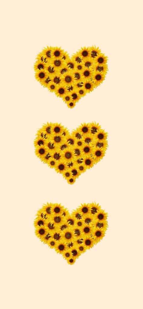 sunflower wallpaper iPhone, three hearts made up of small sunflowers