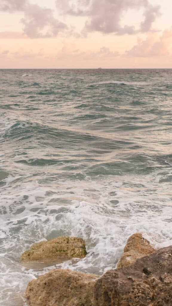 tumblr background beach