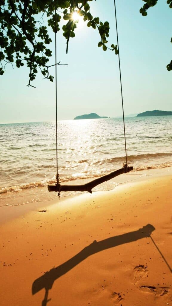 swing hanging from tree overlooking the beach