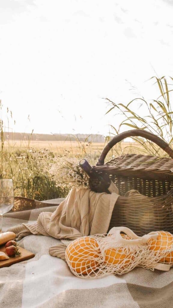 cottagcore aesthetic wallpaper picnic in field with wine in basket and oranges