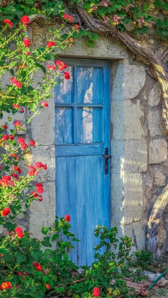 cottagcore wallpaper blue door rock building with red flowers