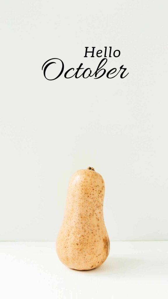 hello October wallpaper with single gourd
