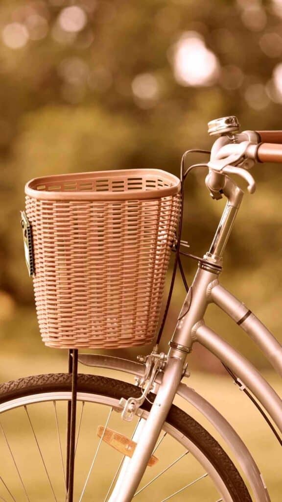 vintage aesthetic wallpaper vintage bike with basket