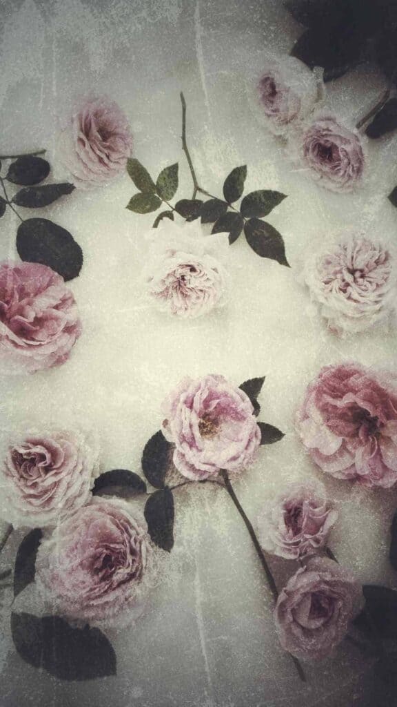 vintage aesthetic  iPhone flower wallpaper