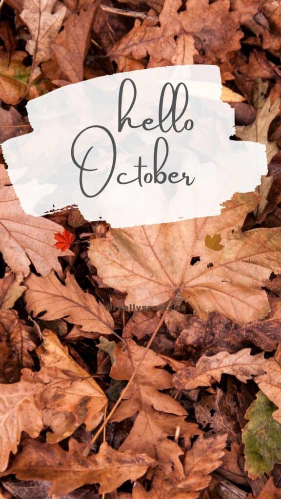 Hello October wallpaper leaves on ground