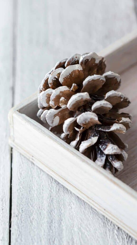 aesthetic cute winter wallpaper pinecone on wooden tray