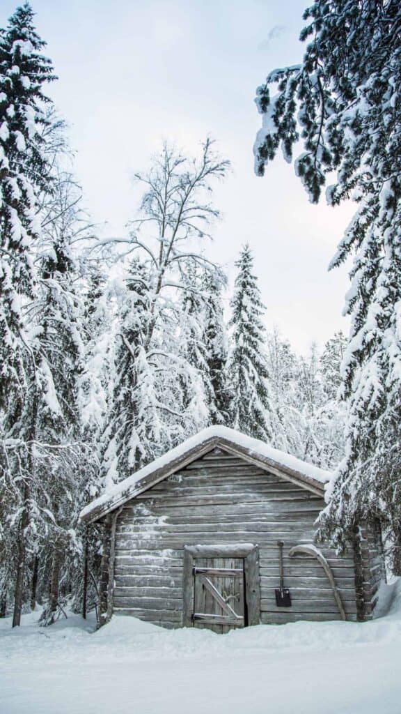 winter wallpaper aesthetic old cabin surrounded by snow covered trees and ground