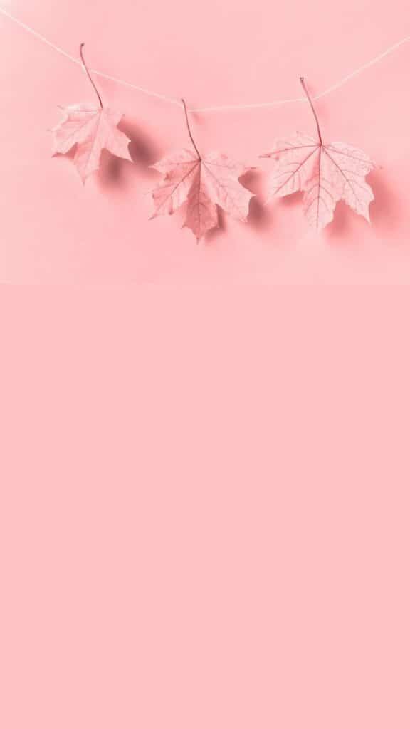 Fantasy Grassland Fall Season Pink Wallpaper Background Stock Image  Image  of background season 163441563