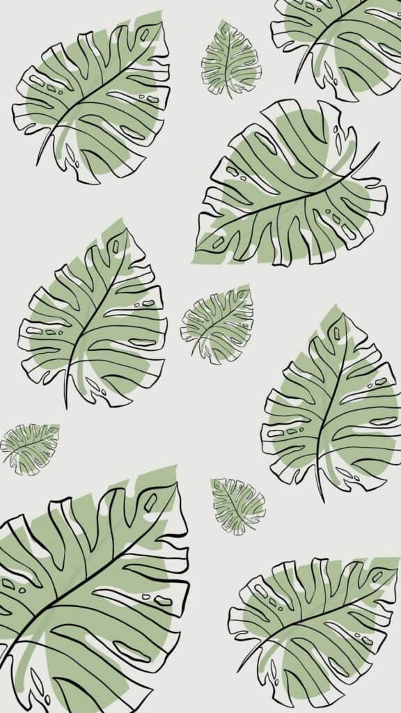 Page 2  Free and customizable sage green wallpaper templates