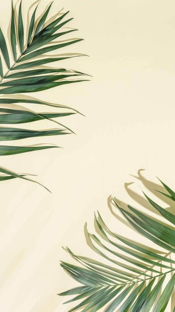 Sage Green Desktop Wallpapers  Top Free Sage Green Desktop Backgrounds   WallpaperAccess