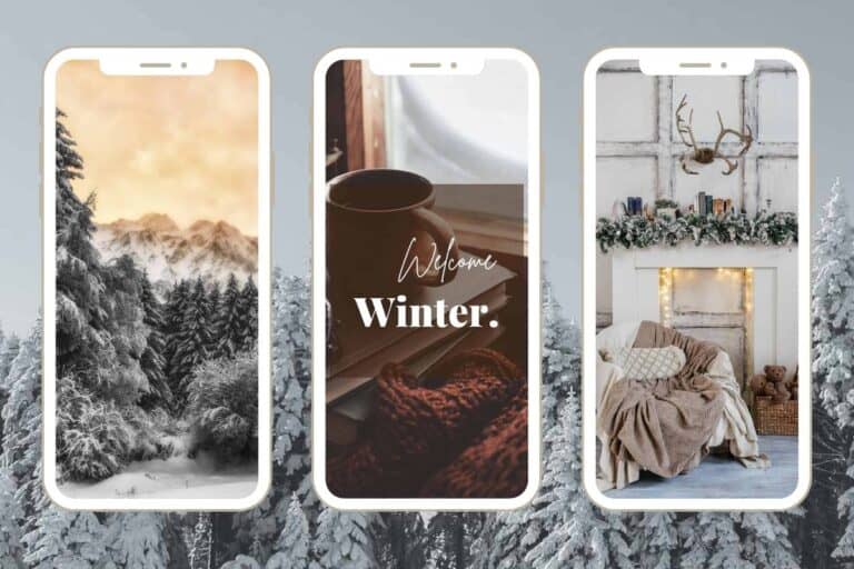 50 Cute Winter Aesthetic Wallpaper Backgrounds For Free