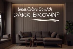 WHAT COLORS GO WITH DARK BROWN