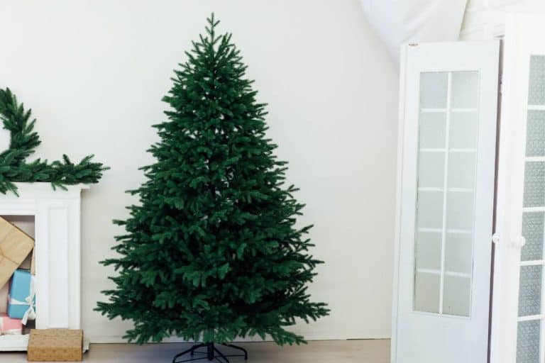 How to Fluff a Christmas Tree: Quick and Easy Steps