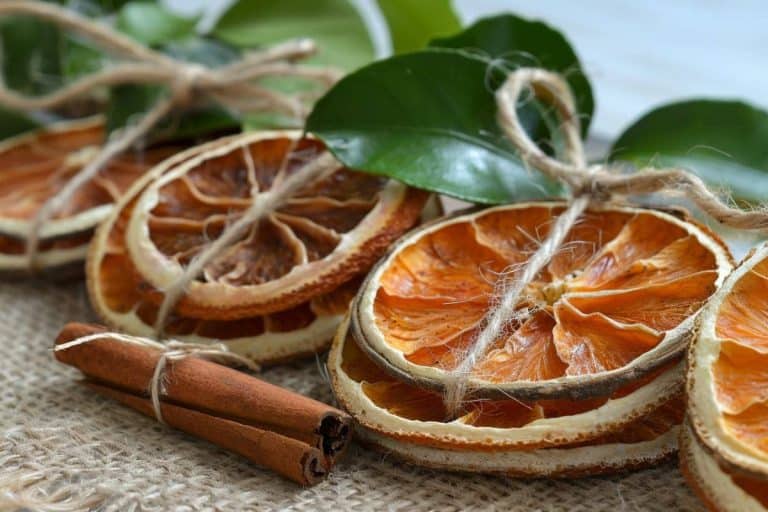 From Simple to Stunning: 20+ Ways Dried Orange Slices Can Spice Up Your ...