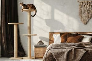 What To Put In Empty Corner Of Bedroom? 35 Bedroom Corner Ideas ...